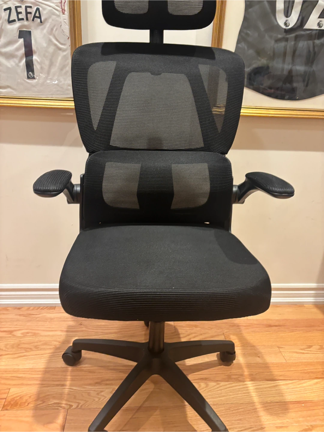 Black Mesh Ergonomic Office Chair with Adjustable Lumbar Support