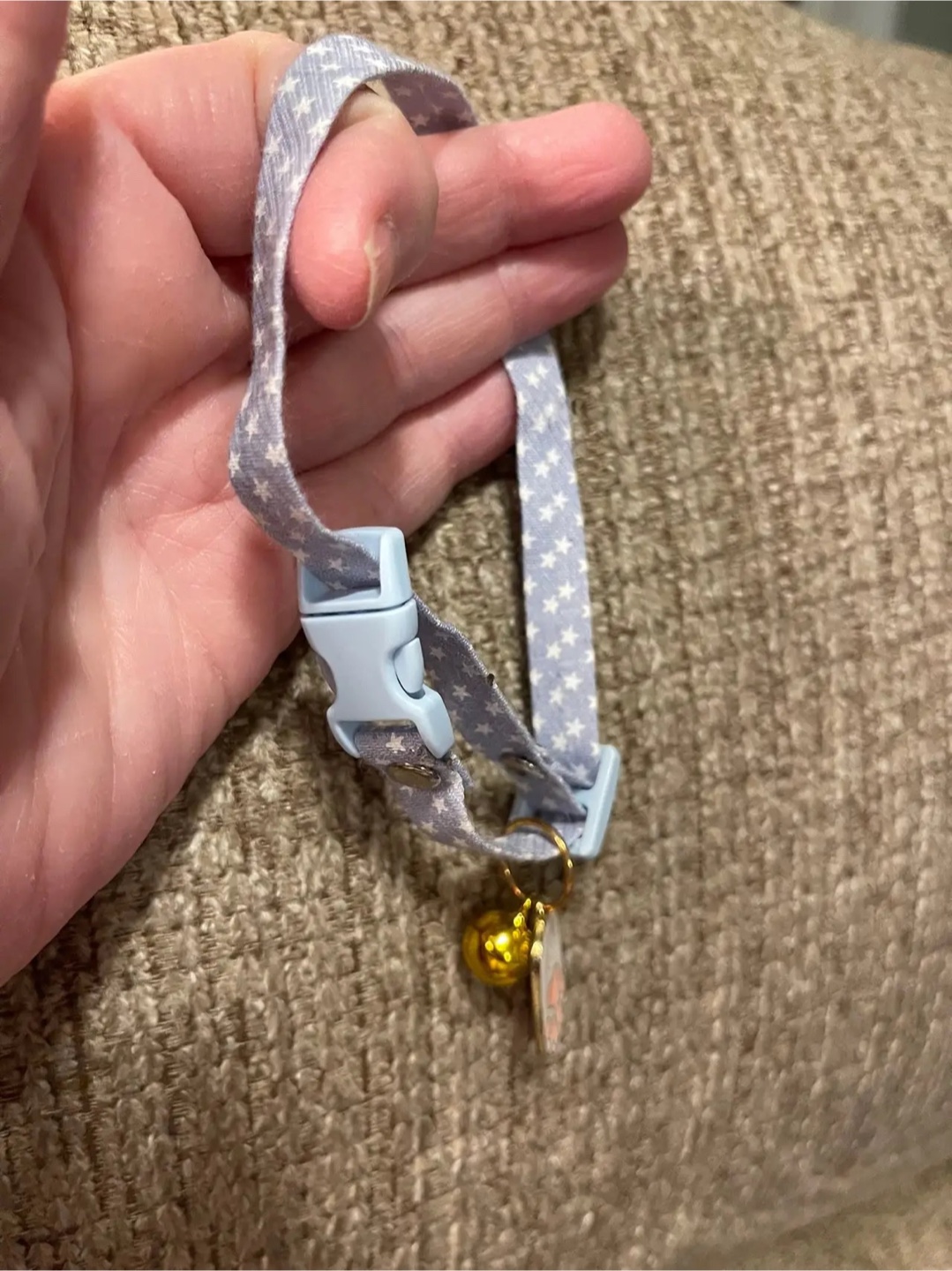 Cat Collar with Paw Charm and Bell