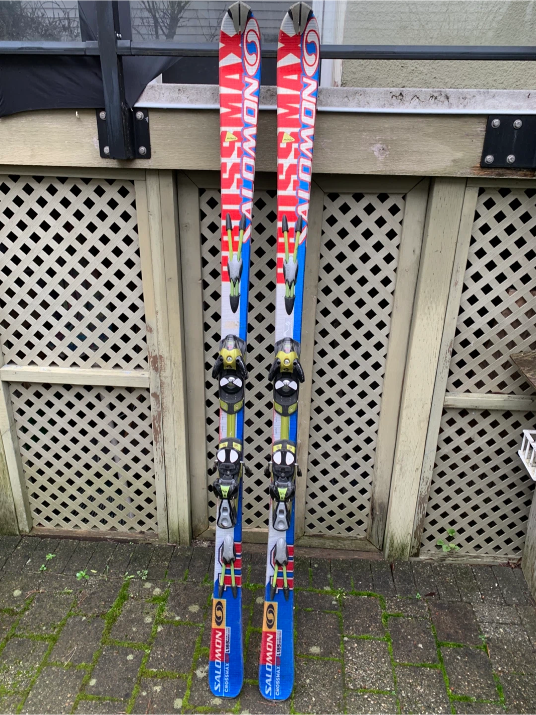Salomon Crossmax Skis