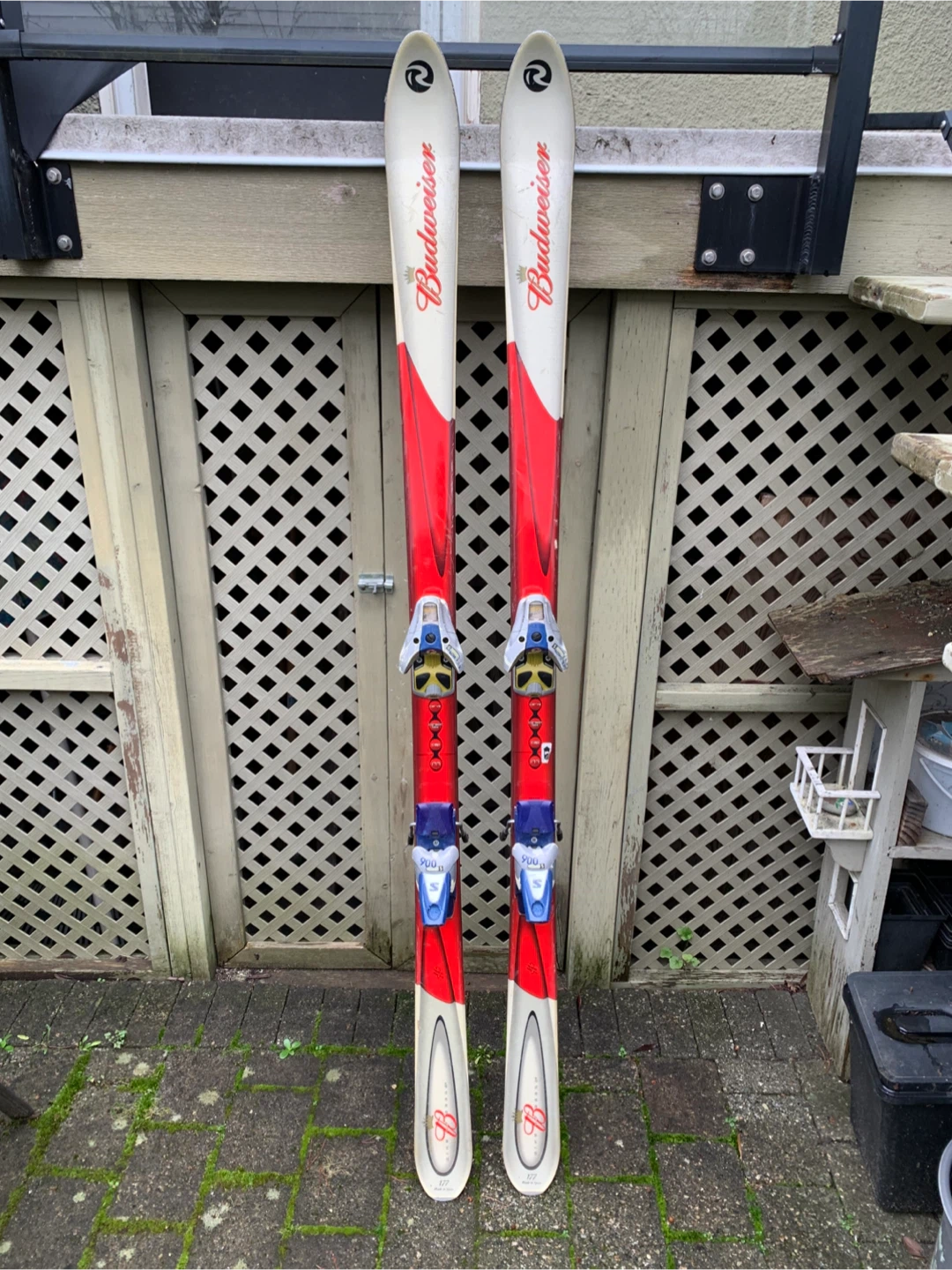 Budweiser Skis with Bindings