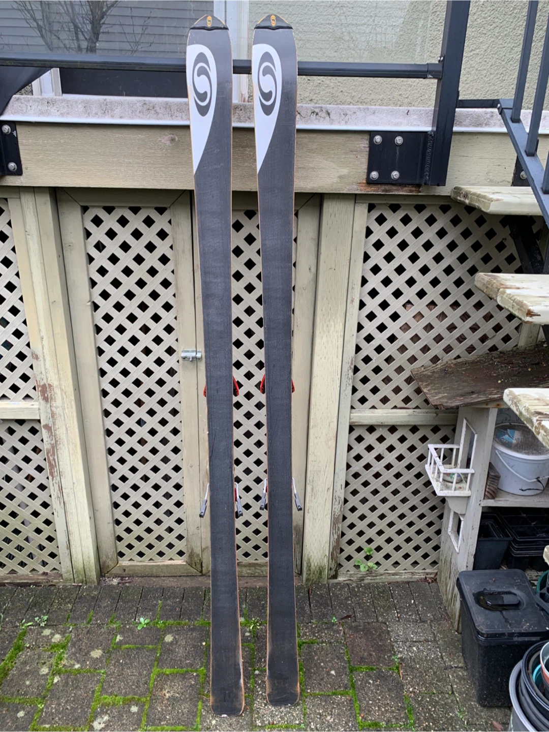Budweiser Skis with Bindings - photo 2