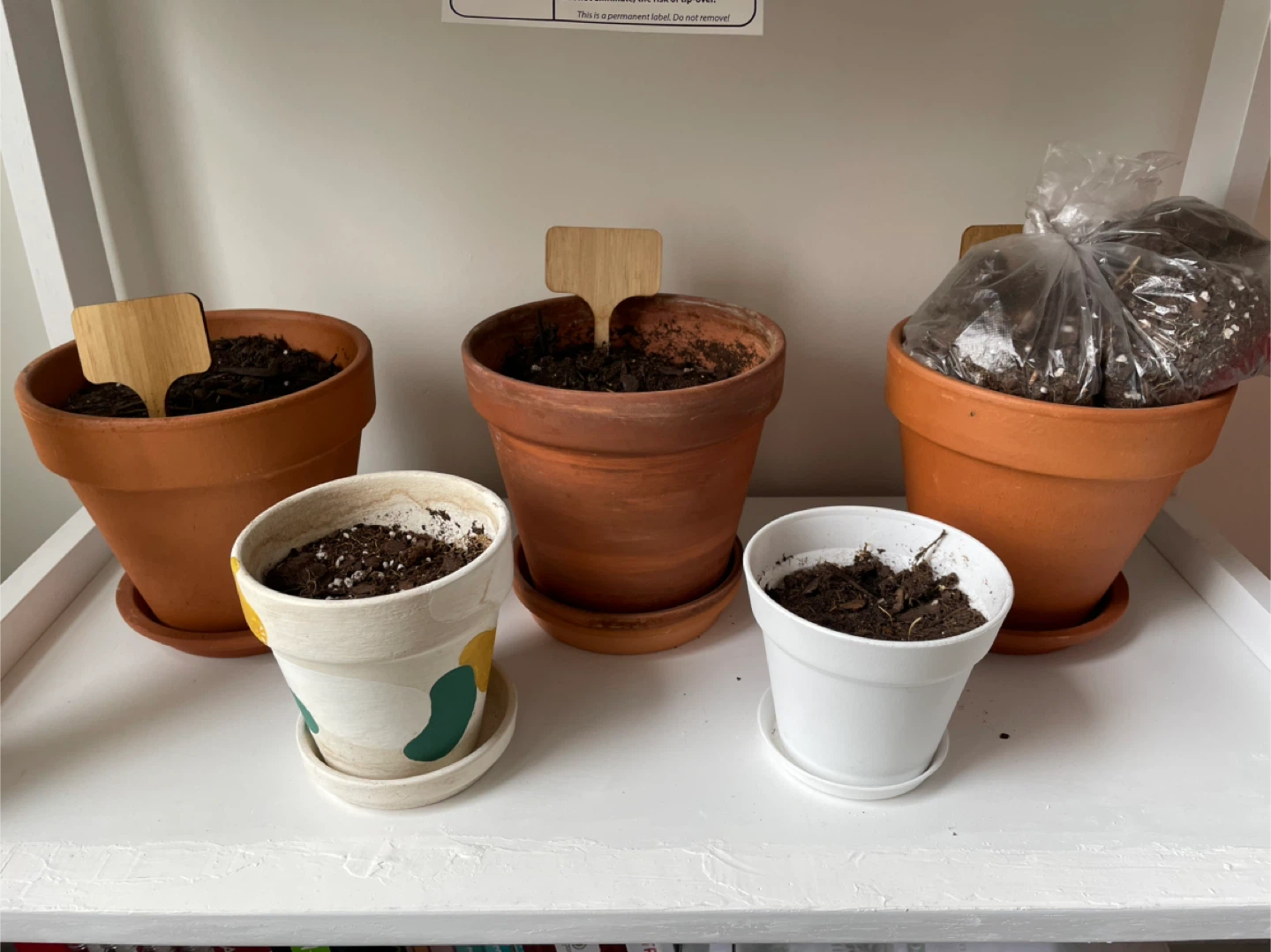 Plant pots set