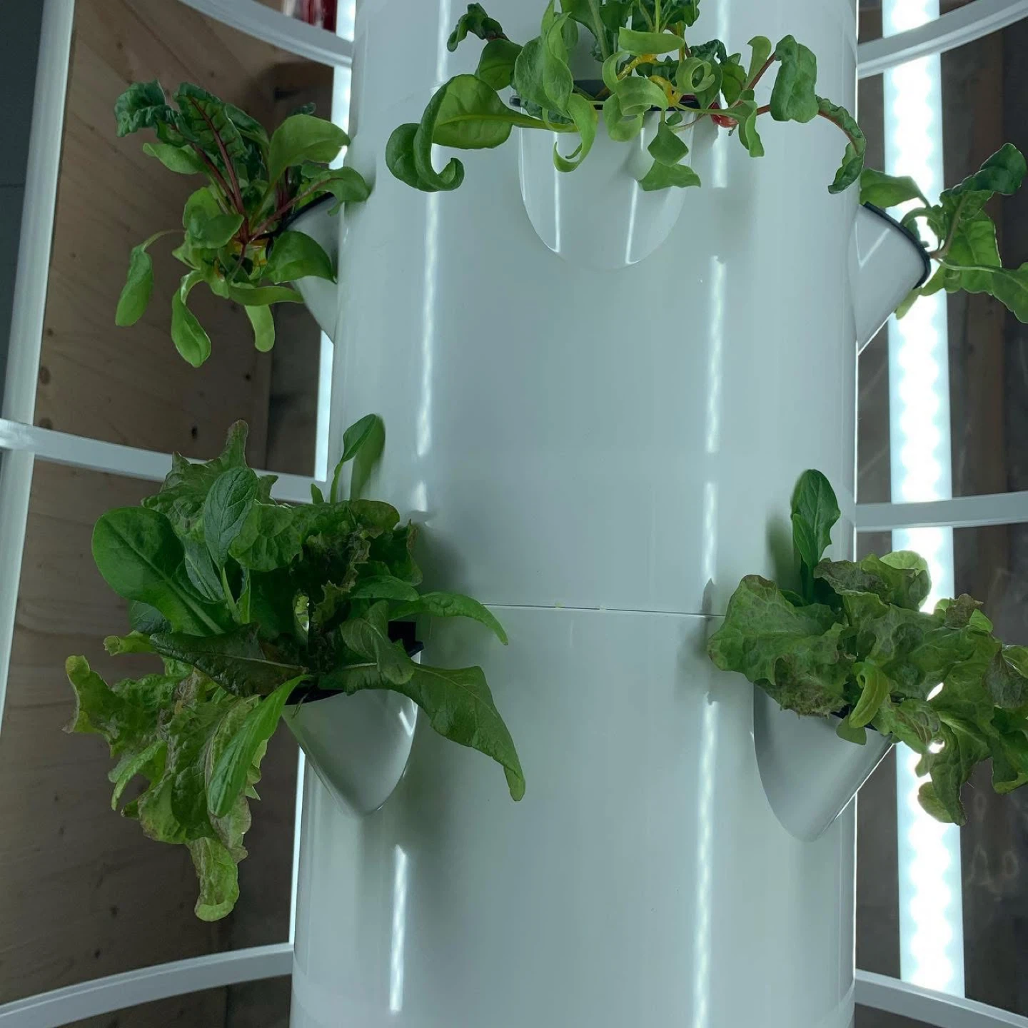 Indoor/Outdoor Tower Garden Vertical Aeroponic Growing System - photo 4