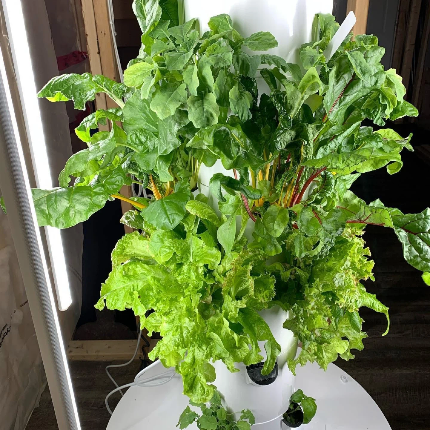 Indoor/Outdoor Tower Garden Vertical Aeroponic Growing System - photo 3