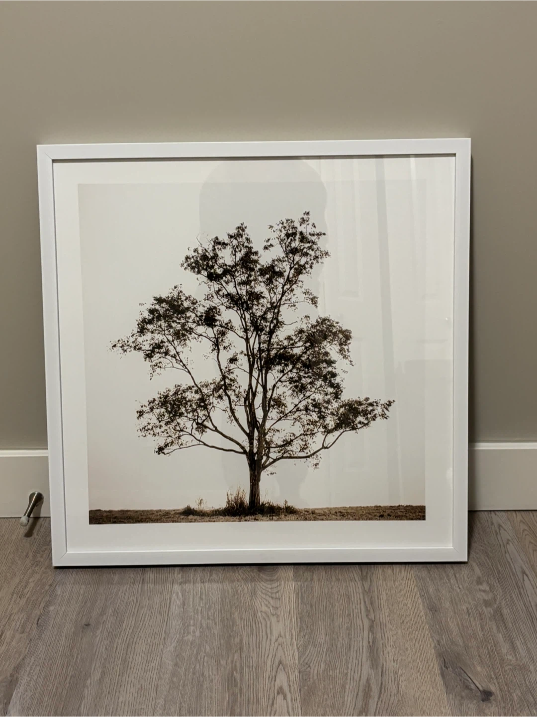 Framed Tree Print