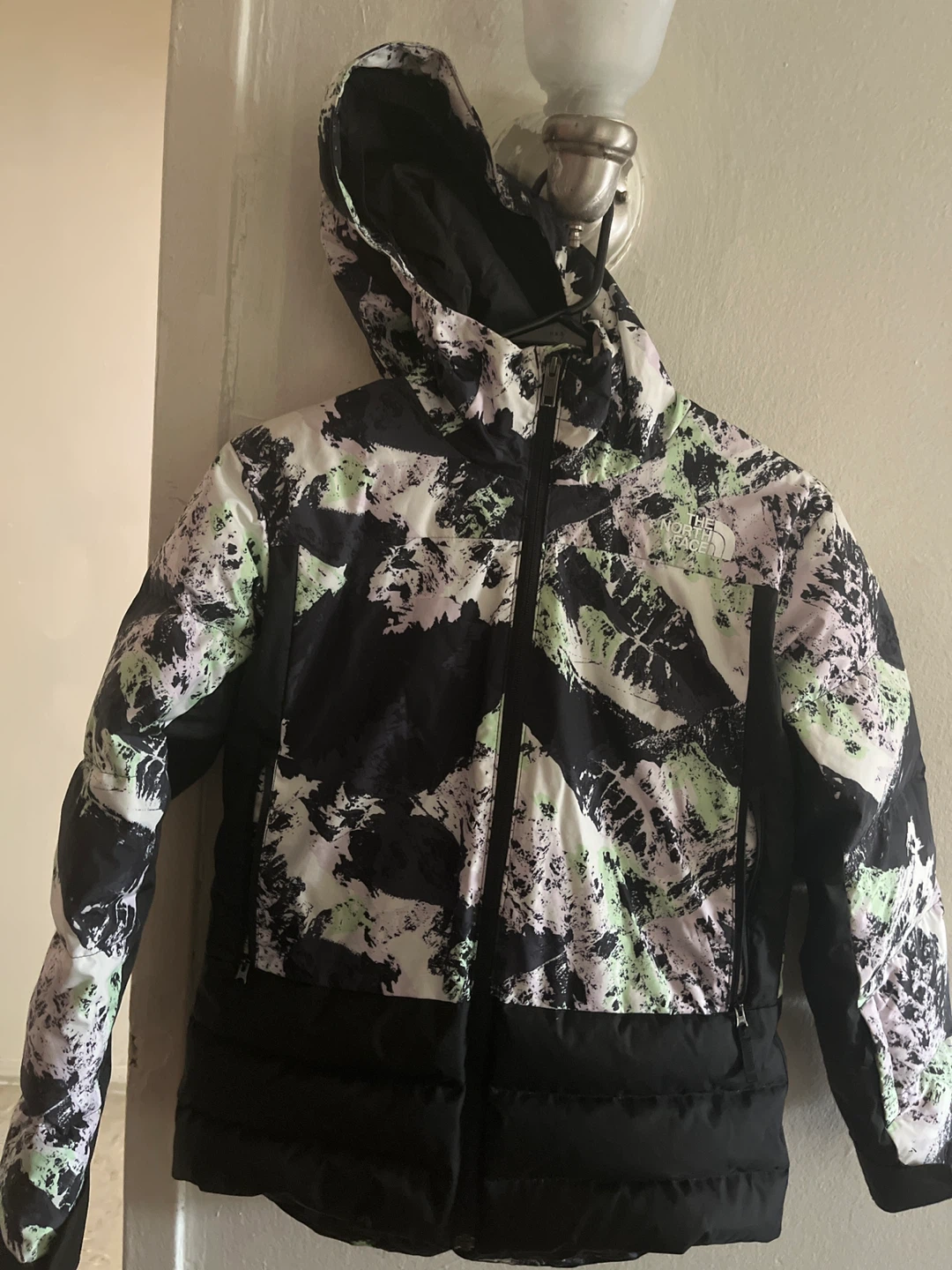 The North Face Insulated Ski Jacket