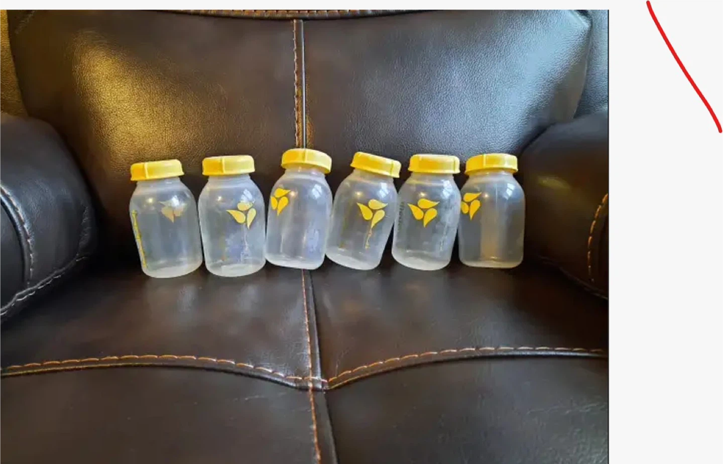 Medela Breast Pump Parts and Bag - photo 3