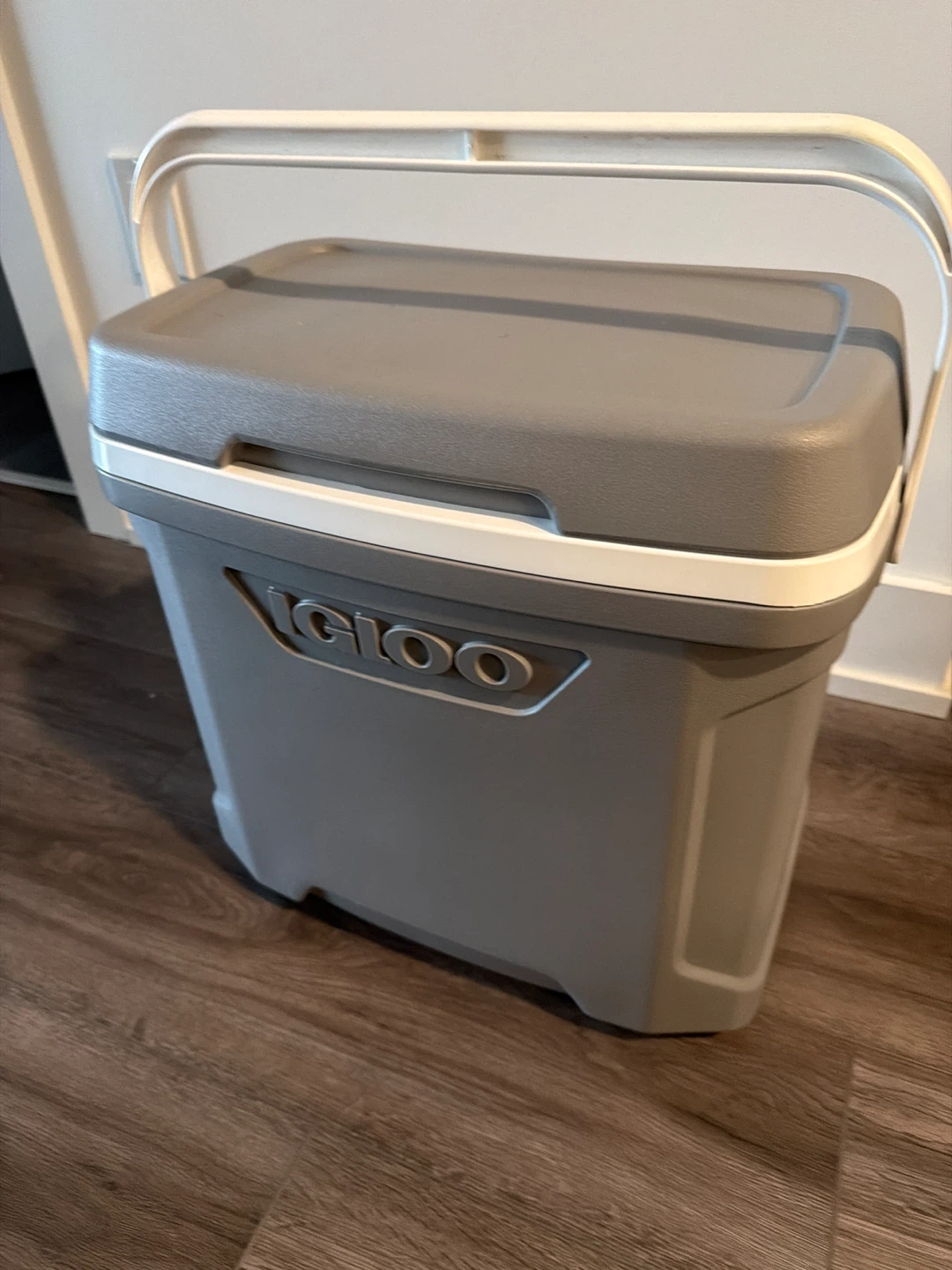 Igloo Cooler
