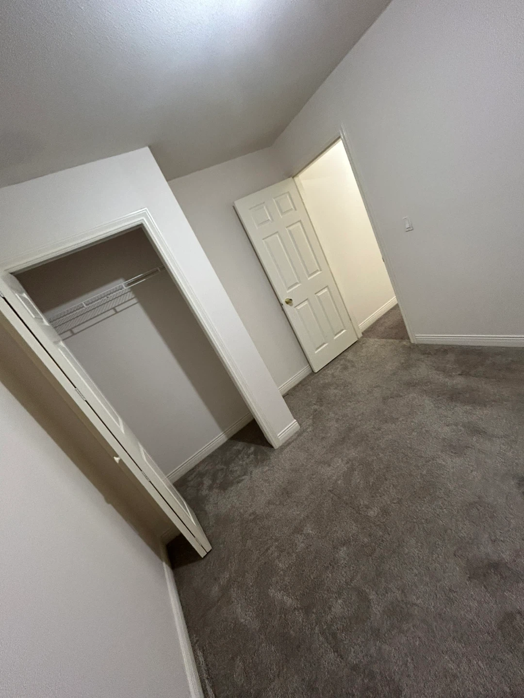 Basement Room and Bathroom Rental - photo 3