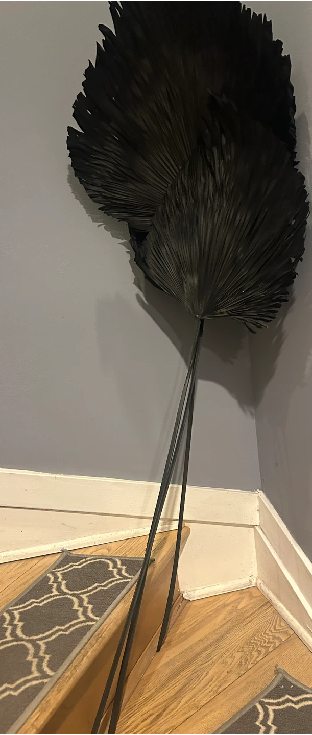 Black Dried Palm Leaf Stems (Set of 3)