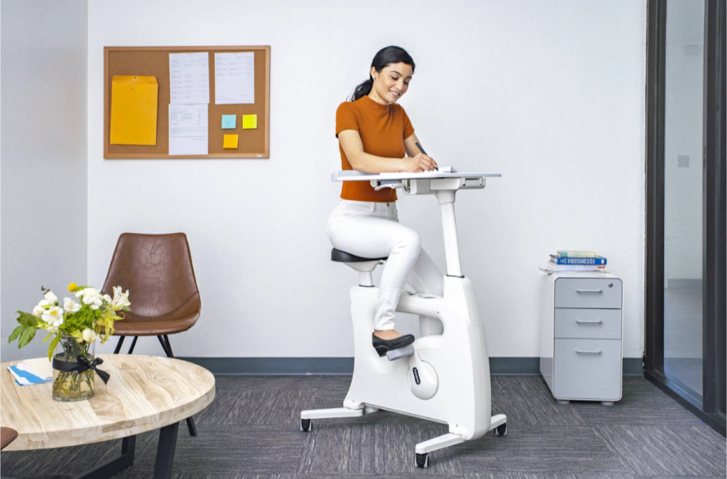 FlexiSpot V9 Home Office Desk Bike