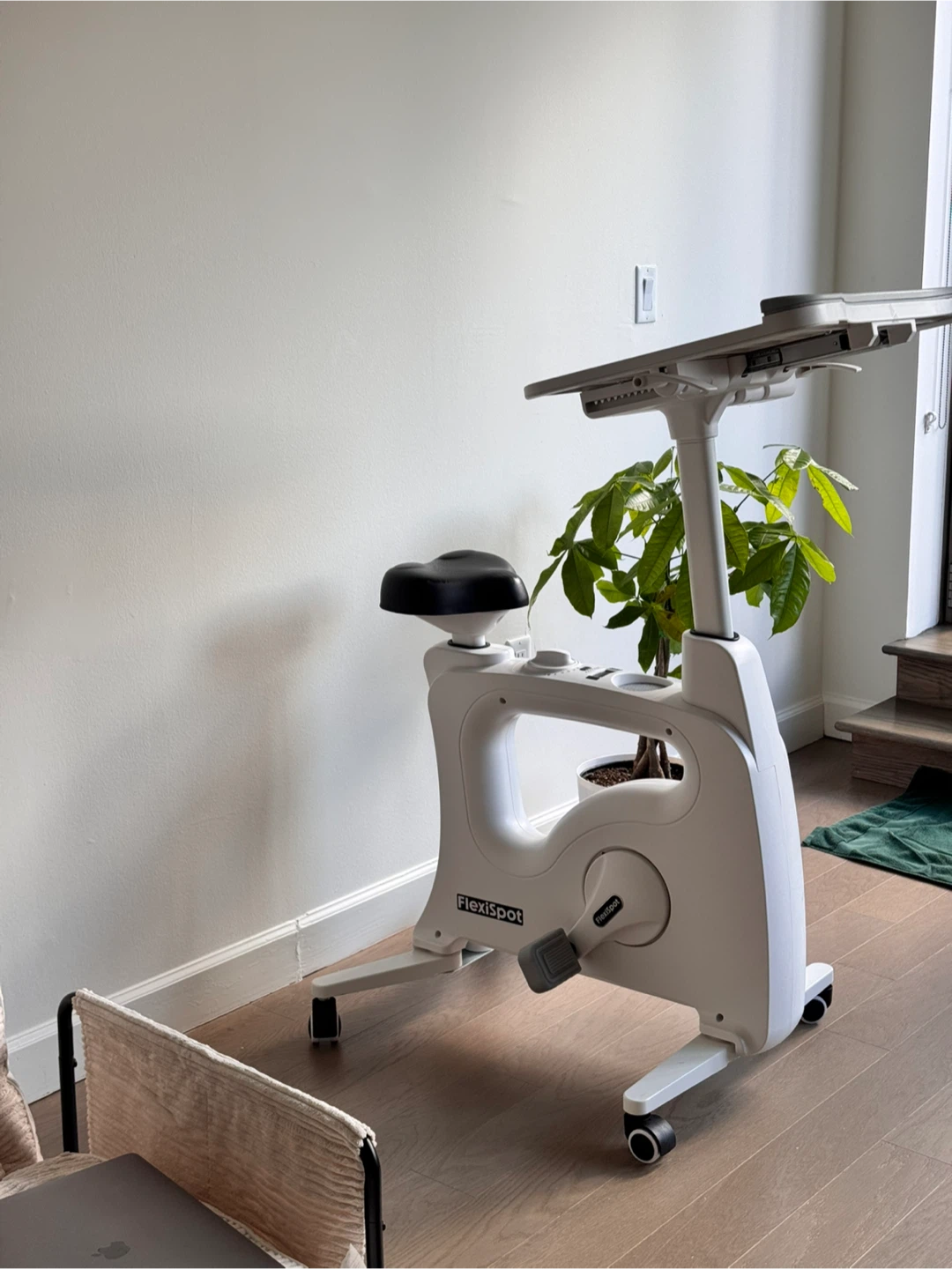FlexiSpot V9 Home Office Desk Bike - photo 3