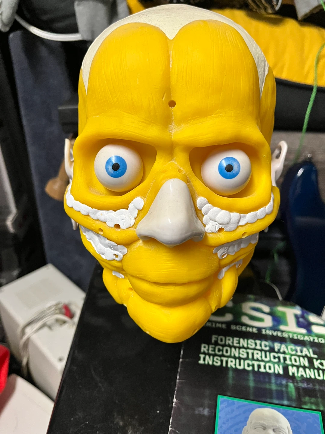 CSI Forensic Facial Reconstruction Kit Model