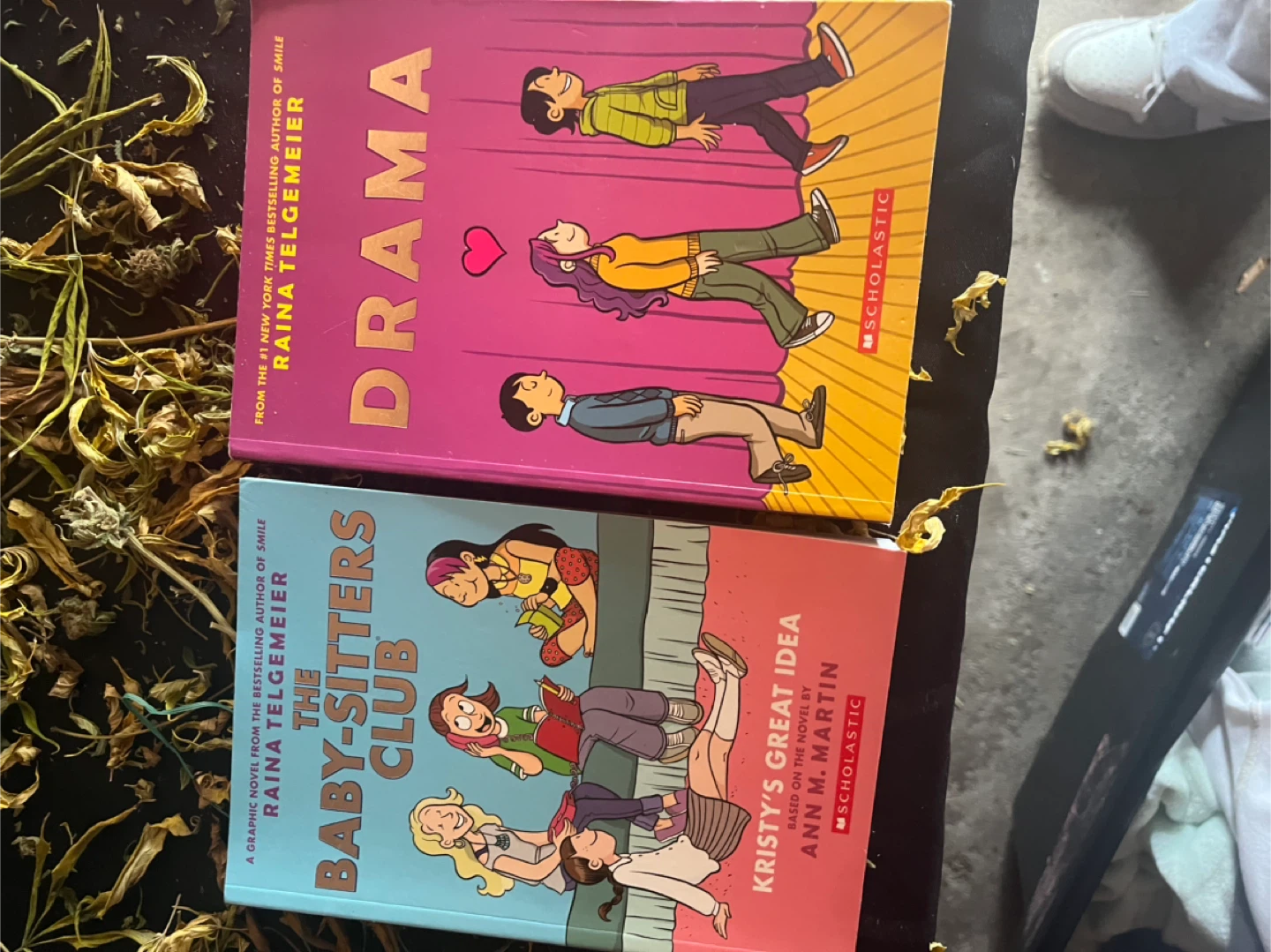 The Baby-Sitters Club: The Truth About Stacey Graphic Novel