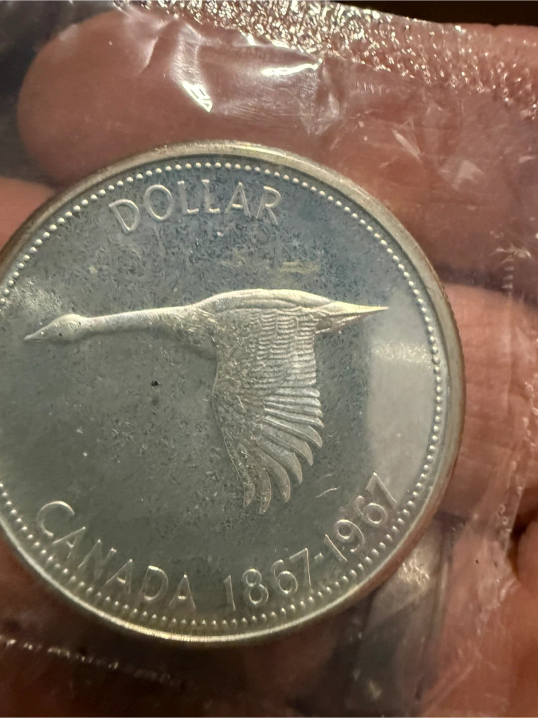 Canada Silver Dollar Coin 1867-1967 - photo 2