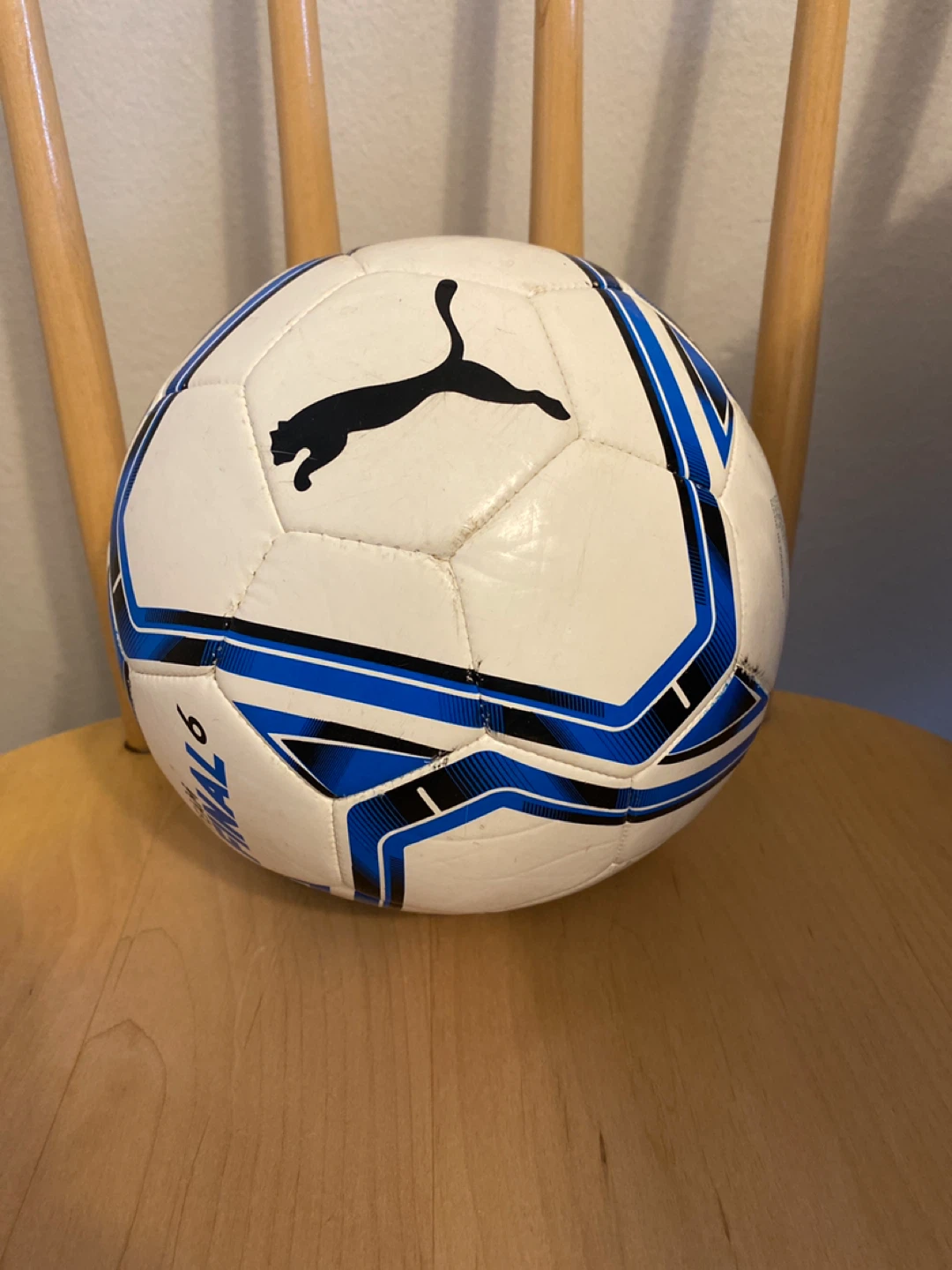 Puma White and Blue Soccer Ball