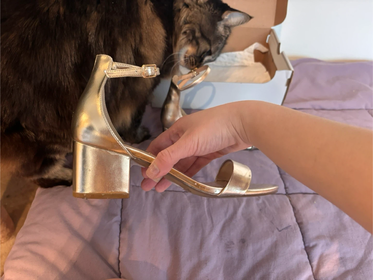 Steve Madden Women's Irenee Two-Piece Block-Heel Sandals Gold - photo 3