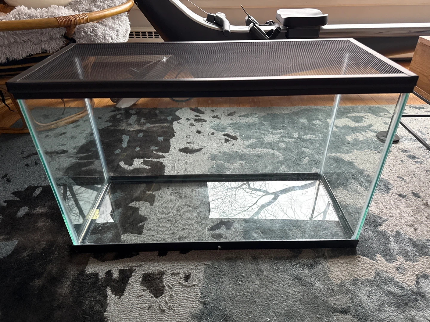 Glass Terrarium Tank with Mesh Lid