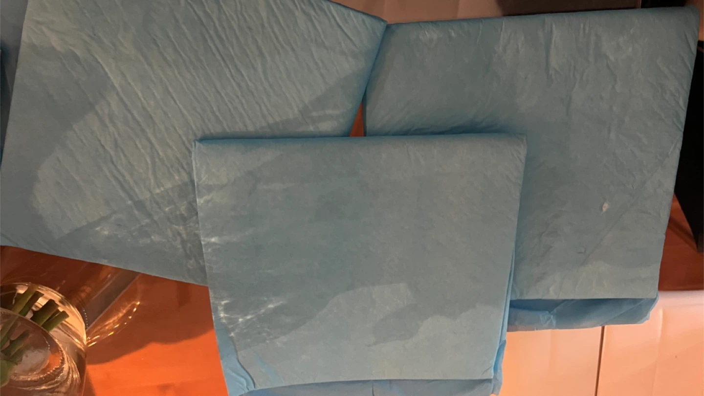 26 new pee pads & bags - photo 4