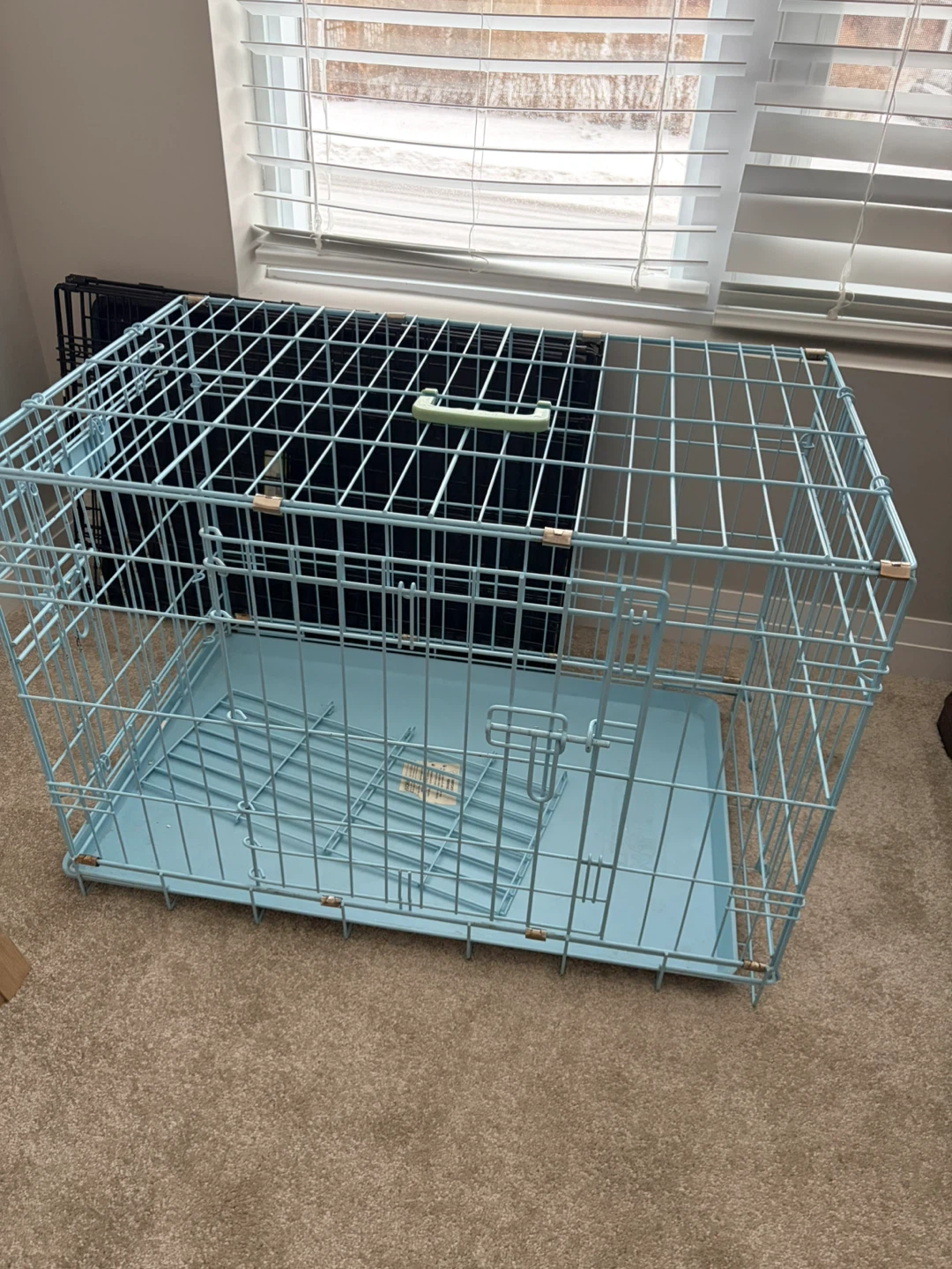 Light Blue Wire Pet Crate