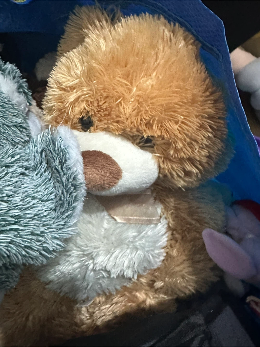 Assorted Plush Stuffed Animals
