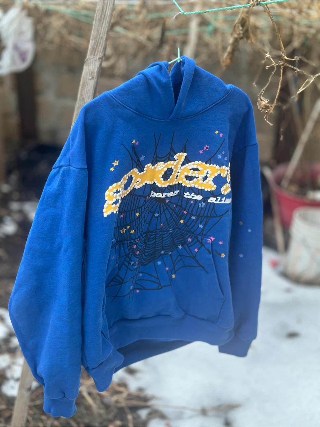 Spider "Ponder the Silence" Hoodie - photo 2