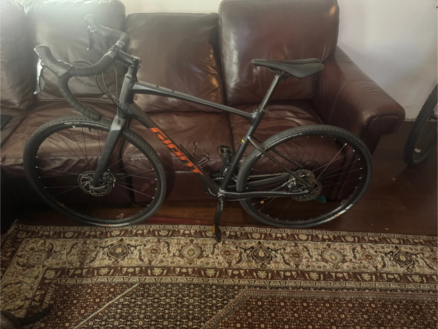 Giant Gravel Bike
