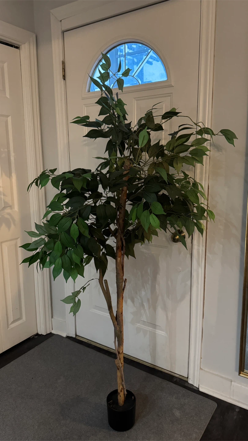 Artificial Ficus Tree
