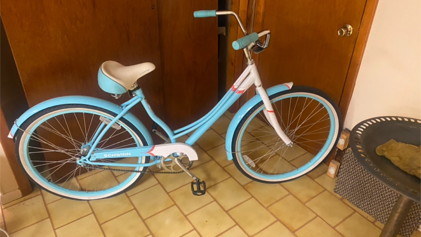 Schwinn legacy cruiser 26 inches