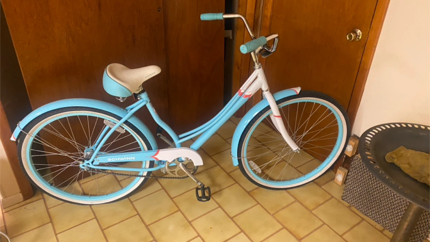 Schwinn legacy cruiser 26 inches - photo 2