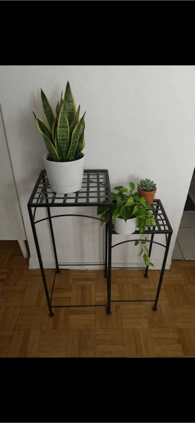 Metal Plant Stand Set