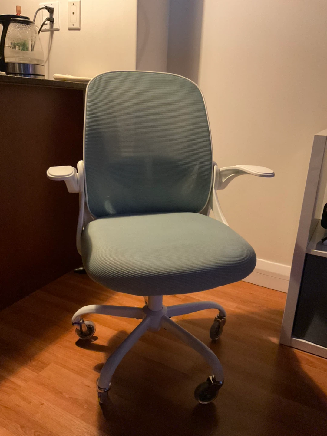Ergonomic Cute Office Desk Chair