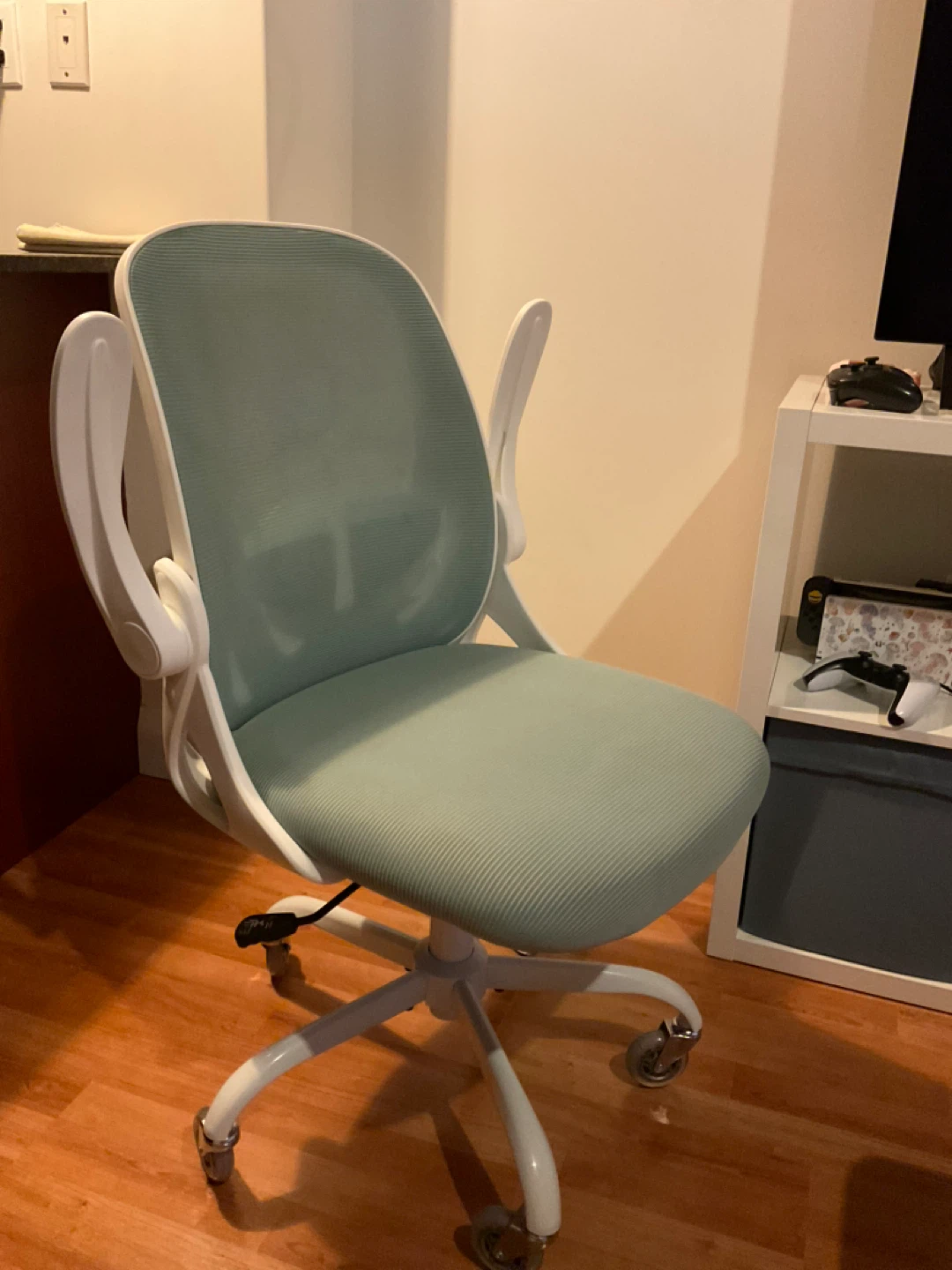 Ergonomic Cute Office Desk Chair - photo 4