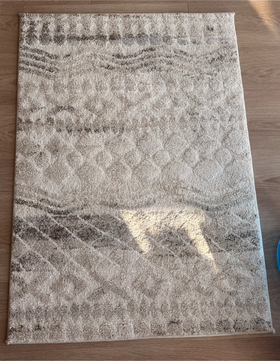 Area Rug - Beige and Grey Abstract Pattern