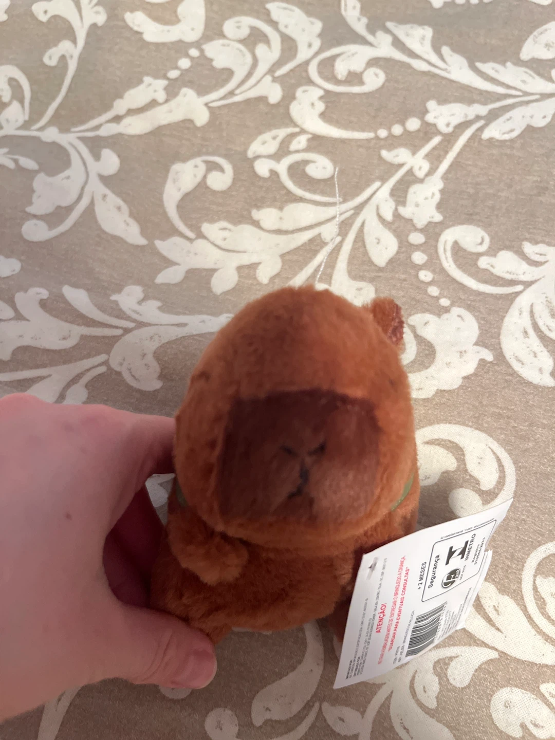 Capybara stuffy + keychain (brand new from Brazil) - photo 2