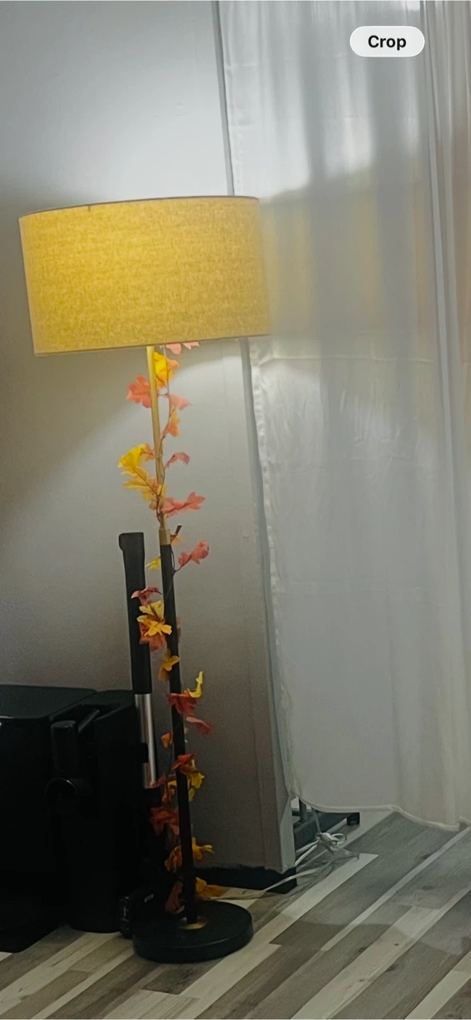Floor Lamp wide shade