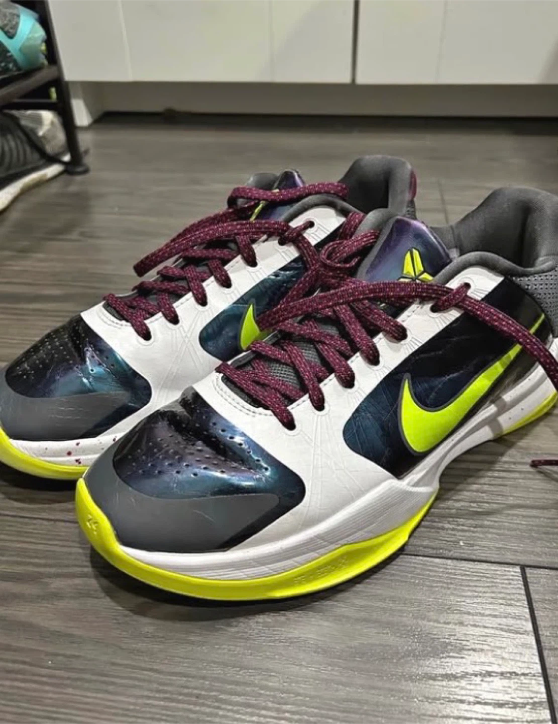 Kobe 5 chaos