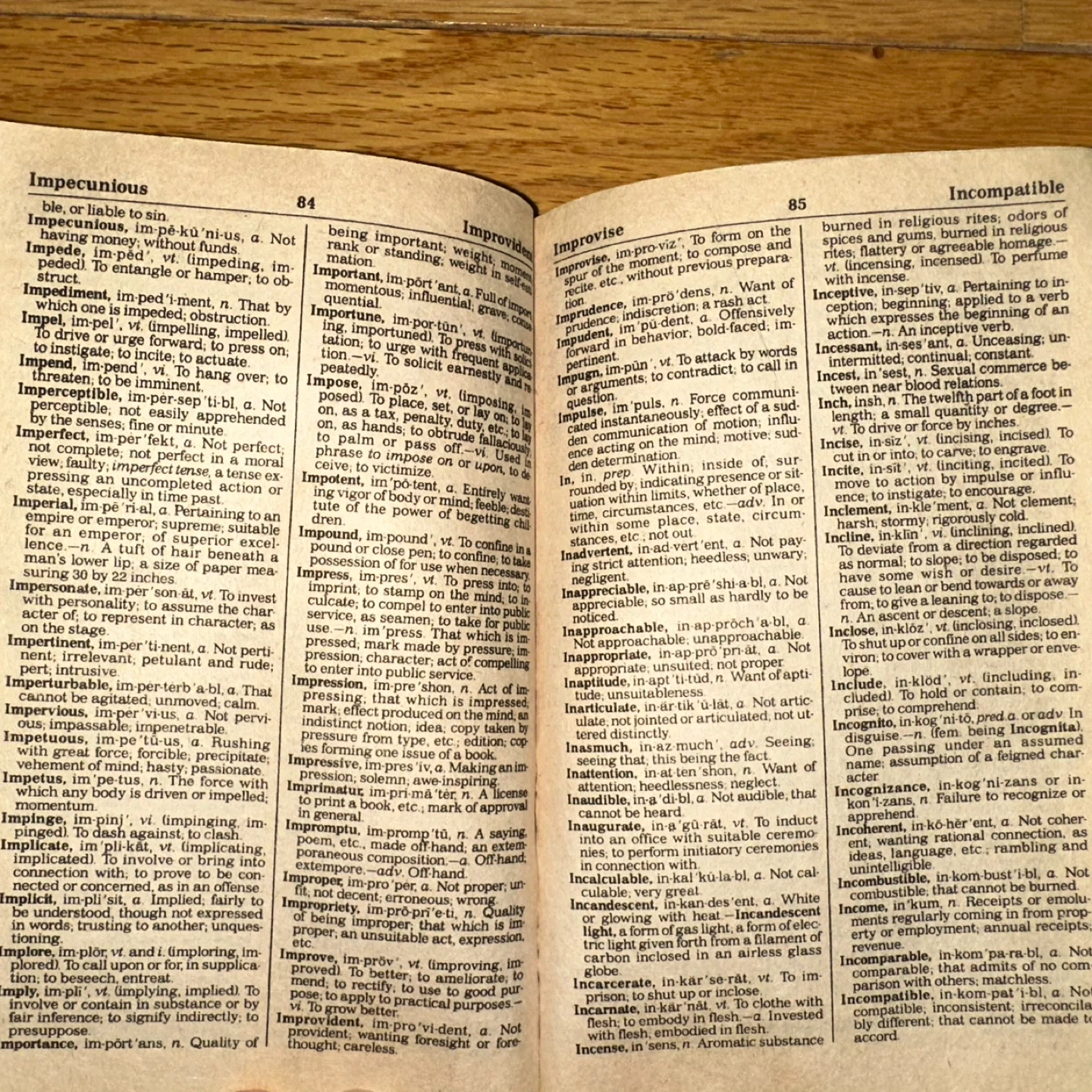 New Webster's Pocket Pal Dictionary 🥕 - photo 3