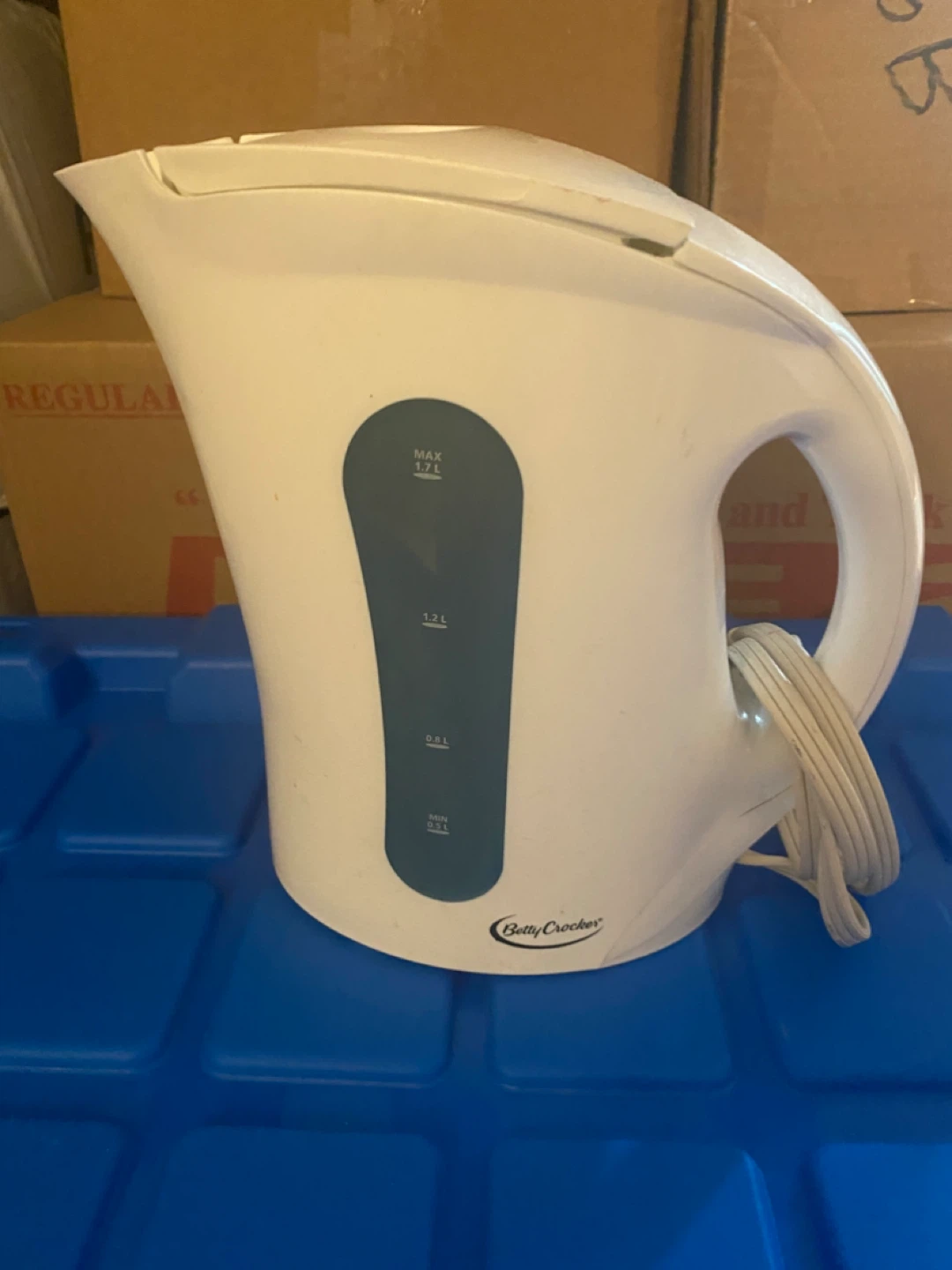 White Electric Kettle