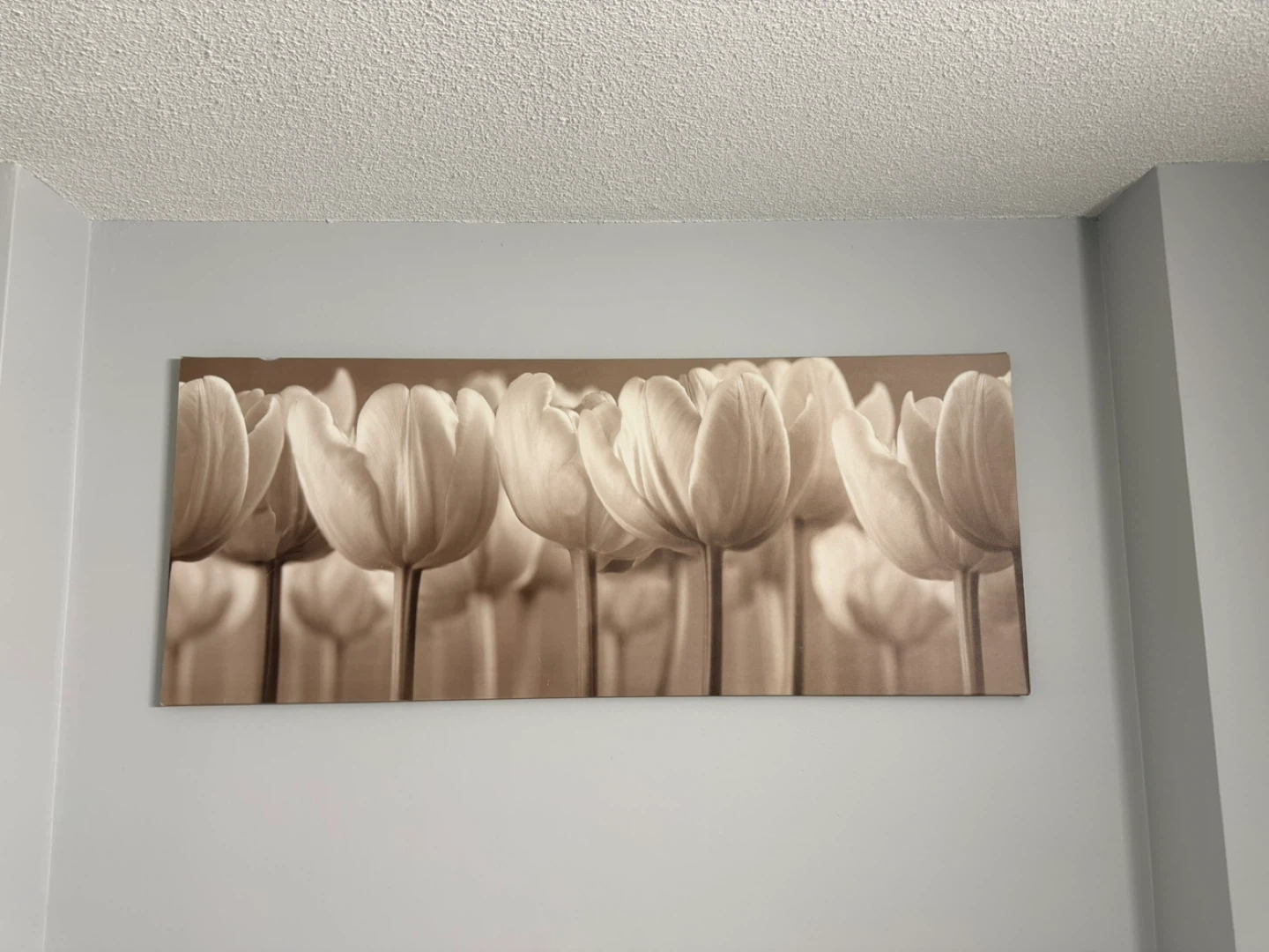 IKEA wall painting in canvas 5x2 feet - photo 2