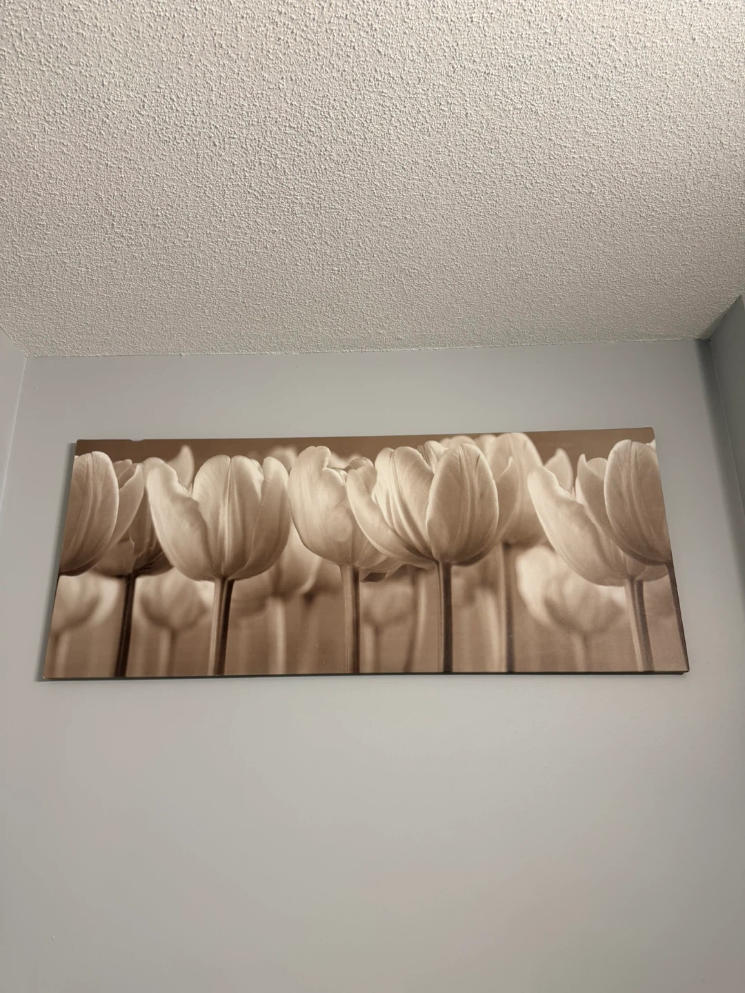 IKEA wall painting in canvas 5x2 feet