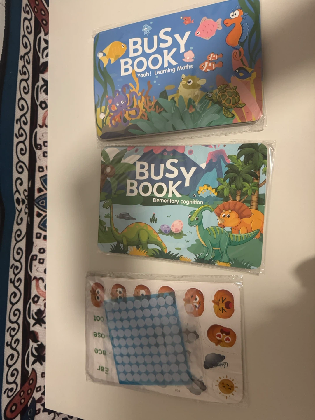 Busy Book - Elementary Cognition & Learning Maths