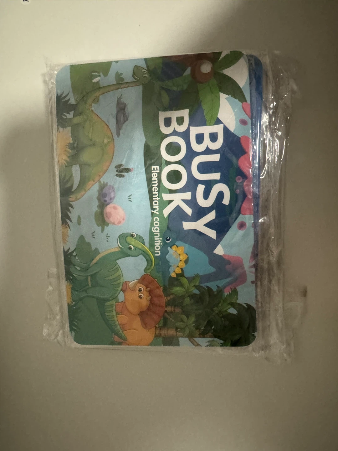 Busy Book - Elementary Cognition & Learning Maths - photo 4