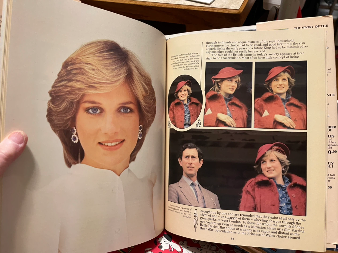 Born to Be King: Prince William of Wales Book - photo 2