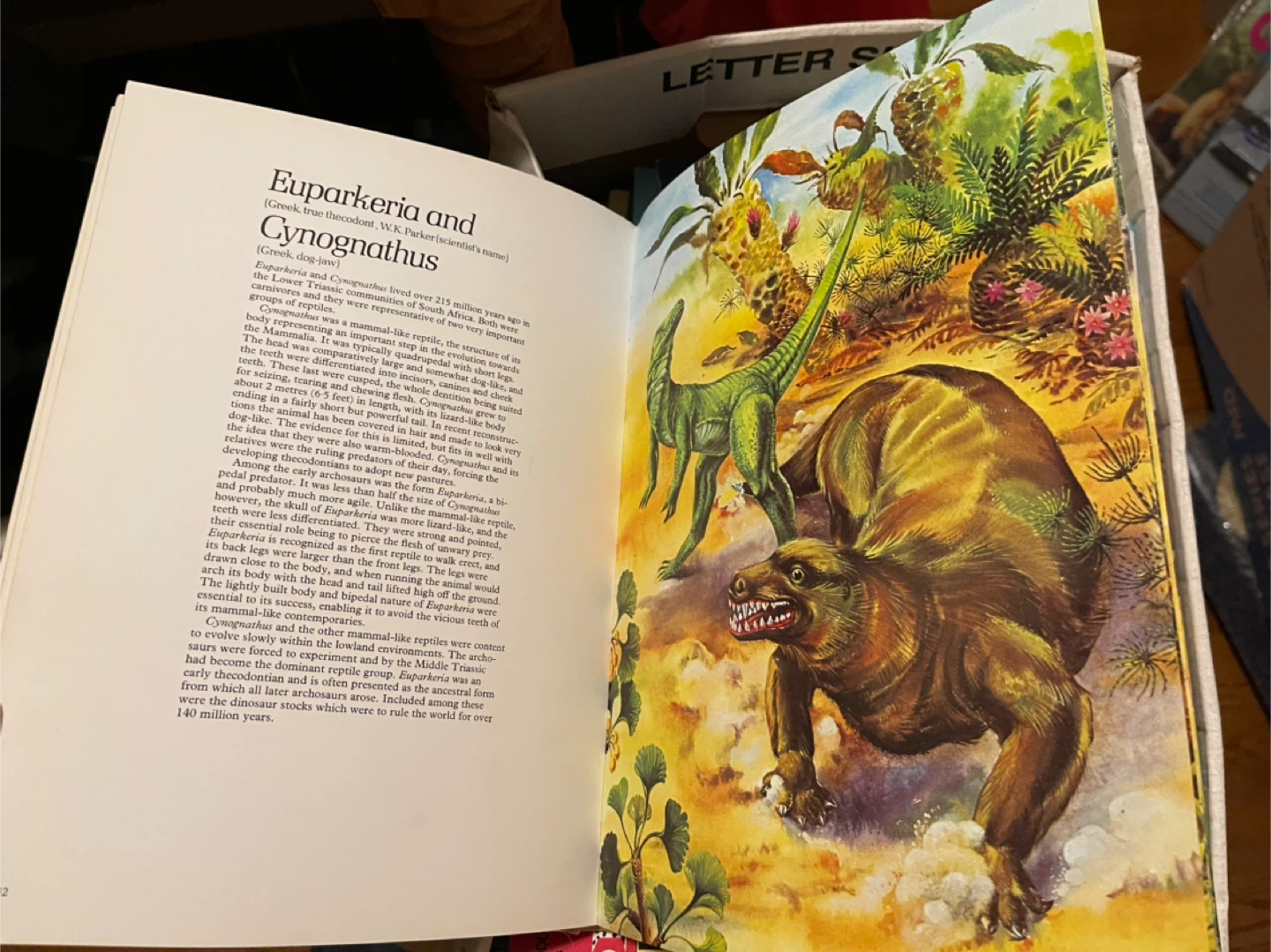A Natural History of Dinosaurs Book by Richard Moody - photo 3