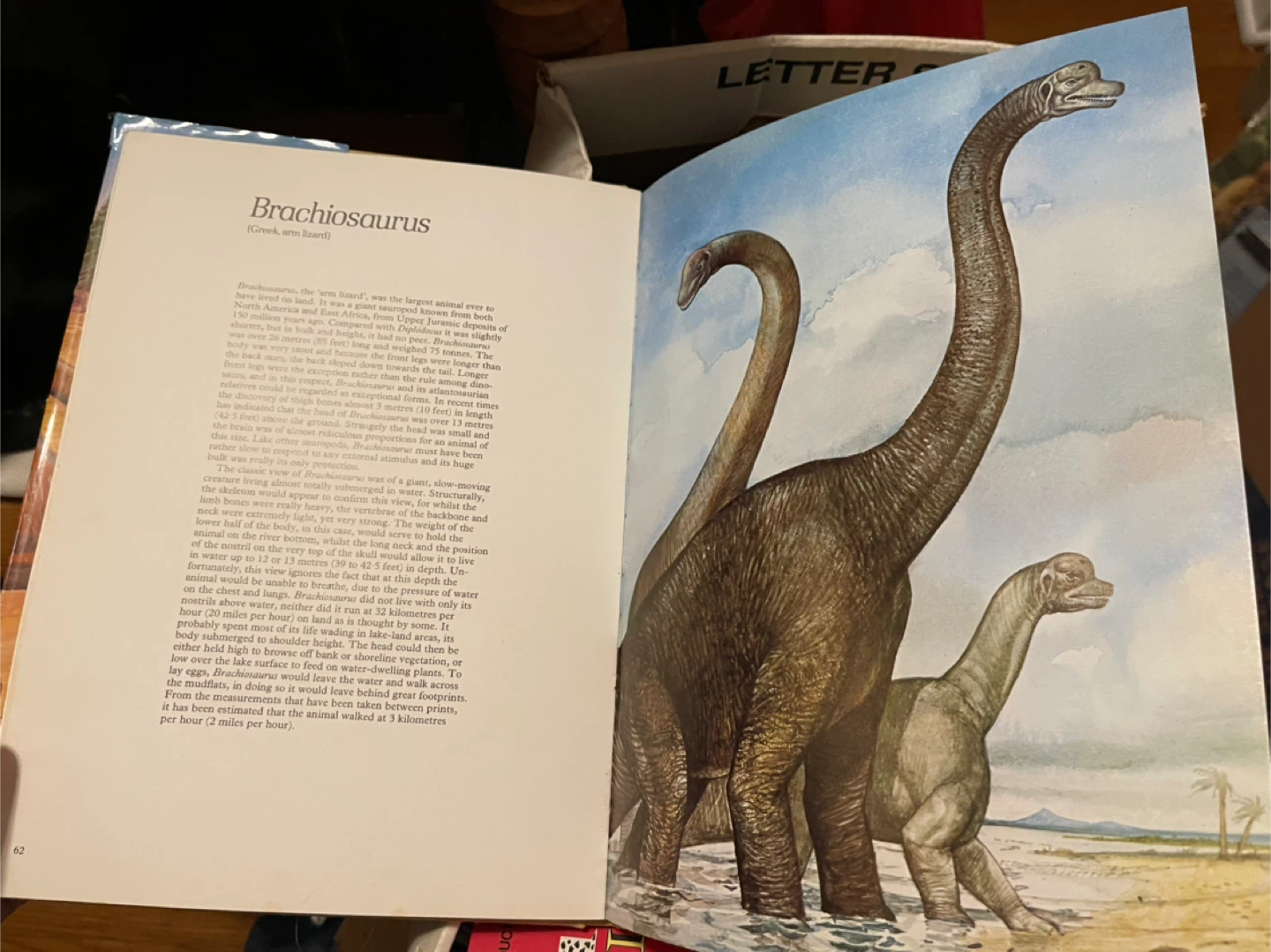 A Natural History of Dinosaurs Book by Richard Moody - photo 2