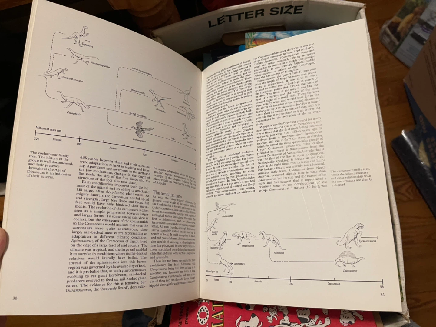 A Natural History of Dinosaurs Book by Richard Moody - photo 4