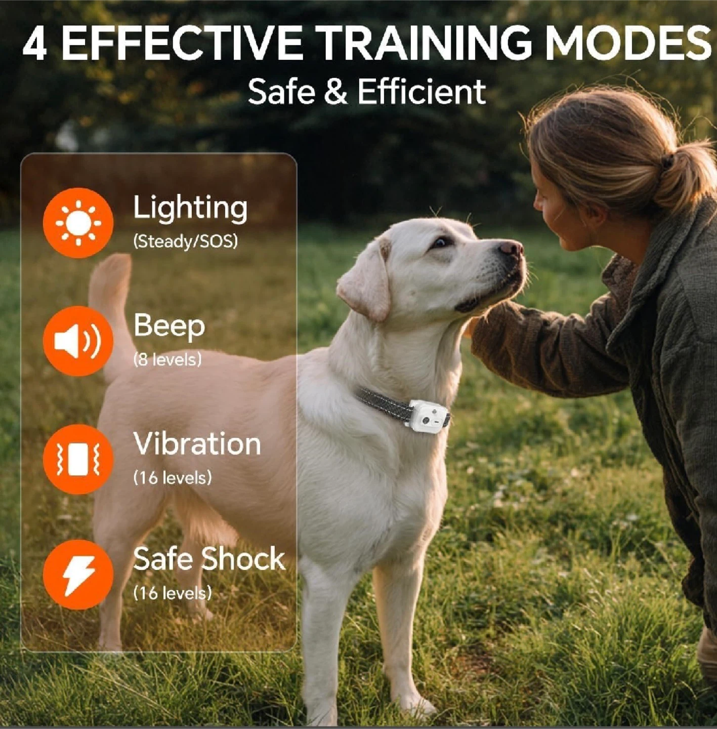 New in Box Dog Training Collar with Remote 3300 Ft - photo 2