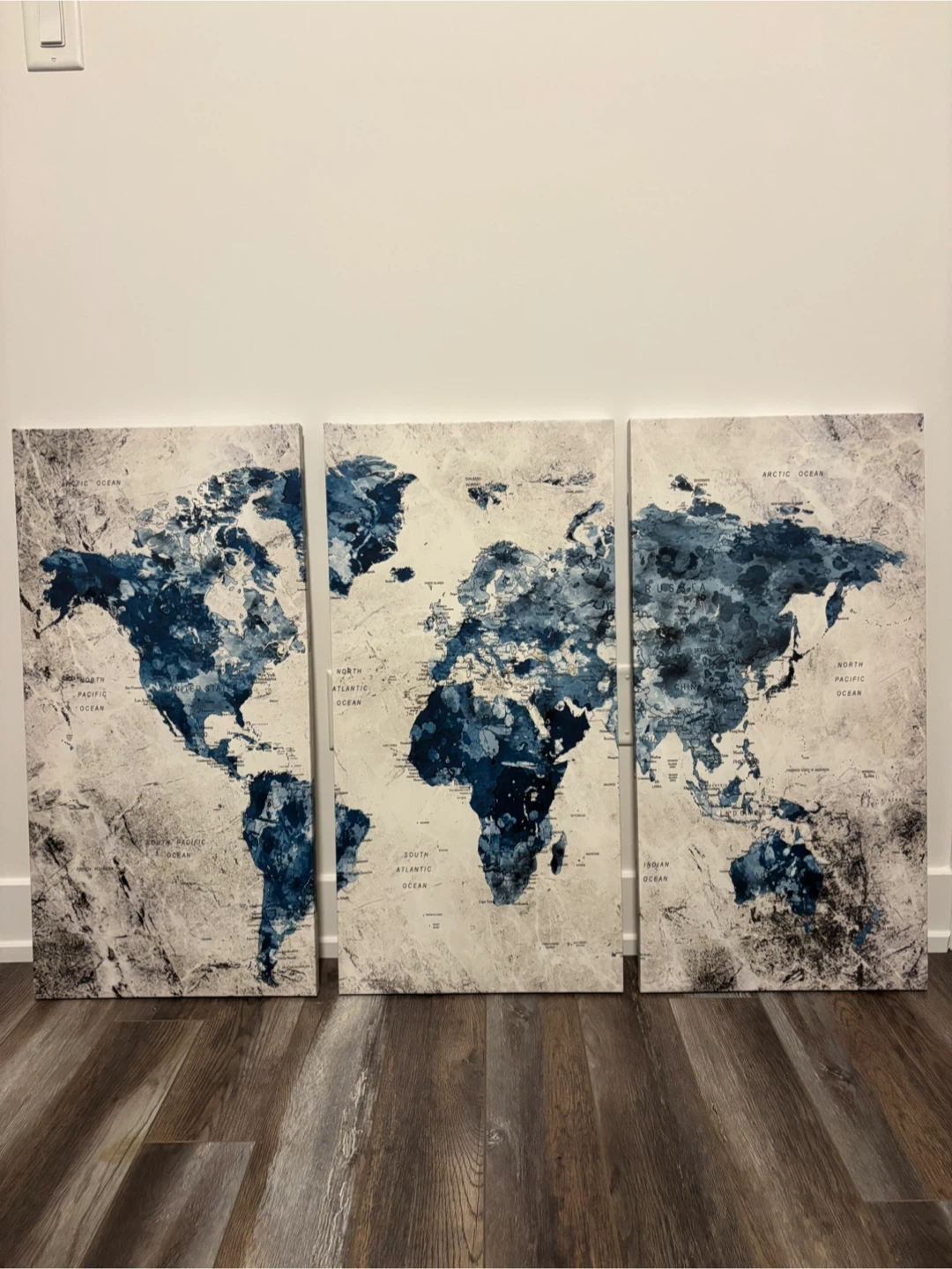 🥕 3-Piece Blue and White World Map Canvas Wall Art - photo 2