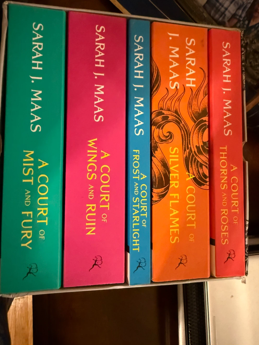 A Court of Thorns and Roses Series Box Set by Sarah J. Maas - photo 2